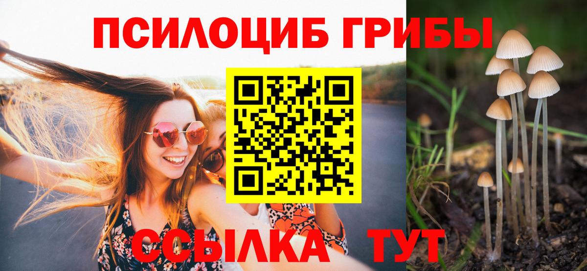 Клинцы  Псилоцибиновые грибы Cubensis  Галлюциногенные грибы ЛСД  купить   Вход с VPN 