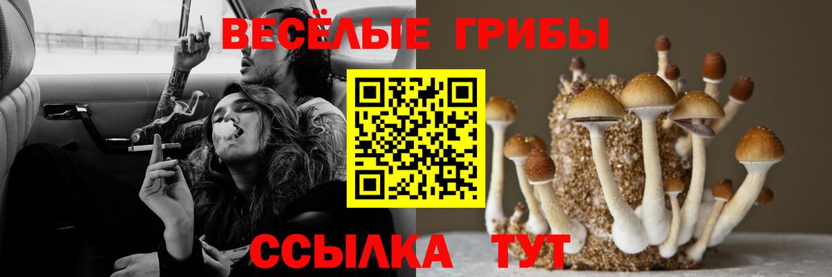 Галлюциногенные грибы мухоморы Клинцы